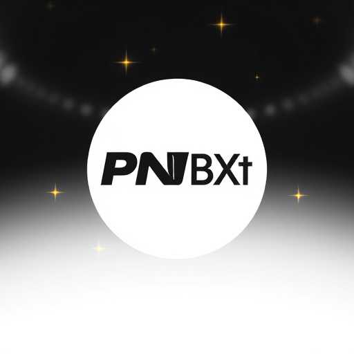 PNXBet: Navigating the Online Gaming Landscape